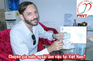 chuyên gia nước ngoài làm việc tại việt nam