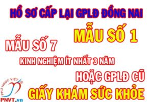 Hồ sơ cấp lại giấy phép lao động cho người nước ngoài ở Đồng Nai