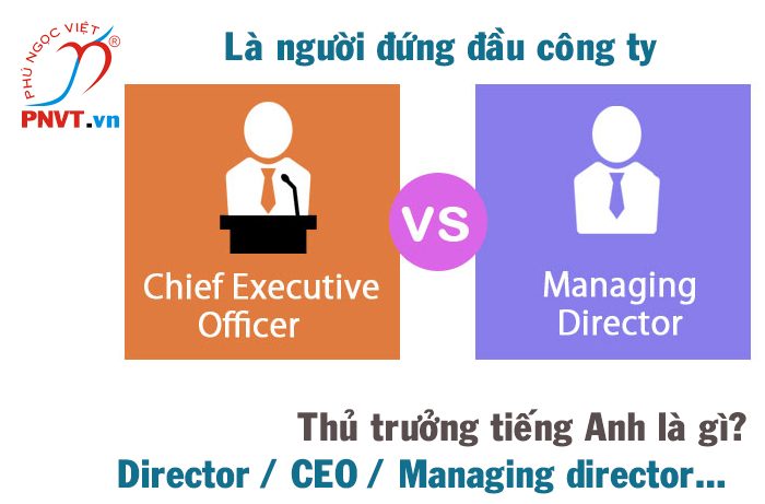 Tương lai và xu hướng của vị trí CEO