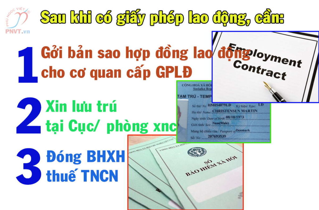 Công Ty Dịch Thuật Phú Ngọc Việt (PNVT)