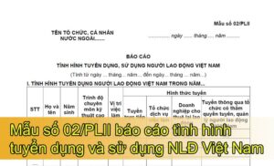 Mẫu số 02/PLII báo cáo tình hình tuyển dụng và sử dụng người lao động Việt Nam của tổ chức, doanh nghiệp nước ngoài