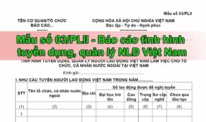 Mẫu số 03/PLII báo cáo tình hình tuyển dụng, quản lý người lao động Việt Nam