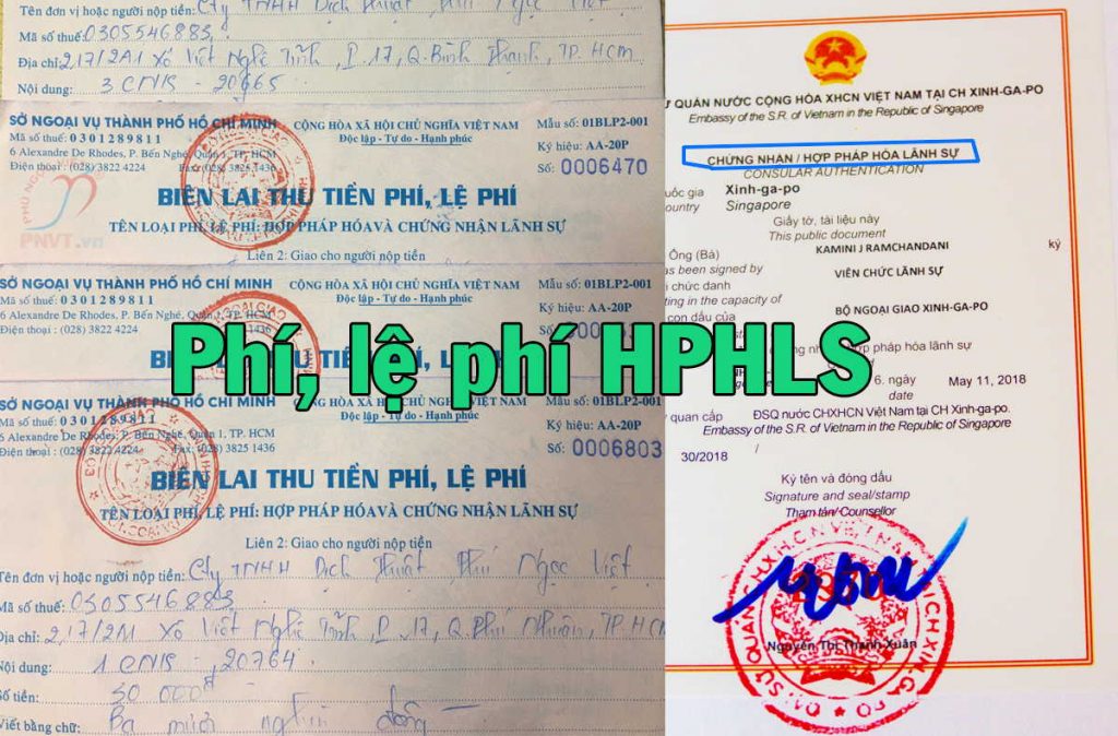 Công Ty Dịch Thuật Phú Ngọc Việt (PNVT)